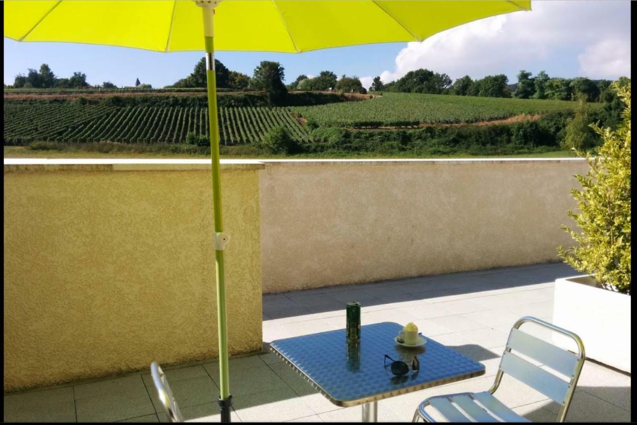 Gites Des Sablons Chatillon-sur-Marne Екстер'єр фото